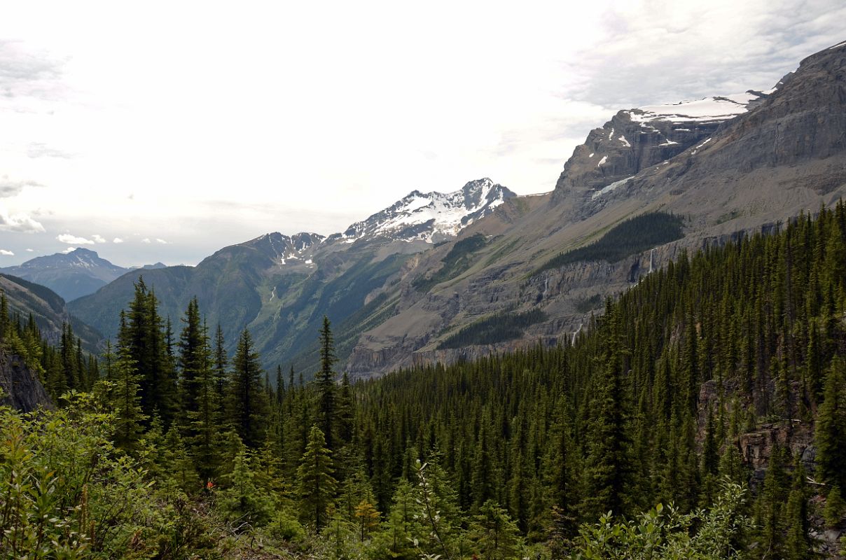 03 Overlander Mountain, Cinnamon Peak From Berg Lake Trail Between Berg Lake and Emperor Falls